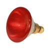 Kerbl 22246 Infrared Energy-Saving Bulb 100 W Red