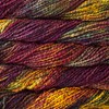 Malabrigo Caracol Yarn (248 - Petrichor)