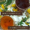 Dandelion Root Tea Dandelion Root Tea Health Tea Tea (150