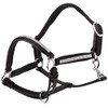 Cwell Equine NEW Leather Halter Padded with SS Buckles 6/8"-Cob,