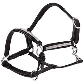 Cwell Equine NEW Leather Halter Padded with SS Buckles 6/8"-Cob, Full, Pony BLACK (PONY)
