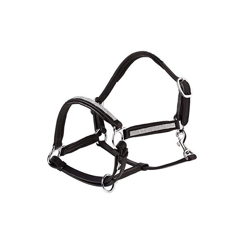 Cwell Equine NEW Leather Halter Padded with SS Buckles 6/8"-Cob,