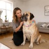 BWOGUE Beaded Dog Collar Necklace, Adjustable Necklace for Large Dogs