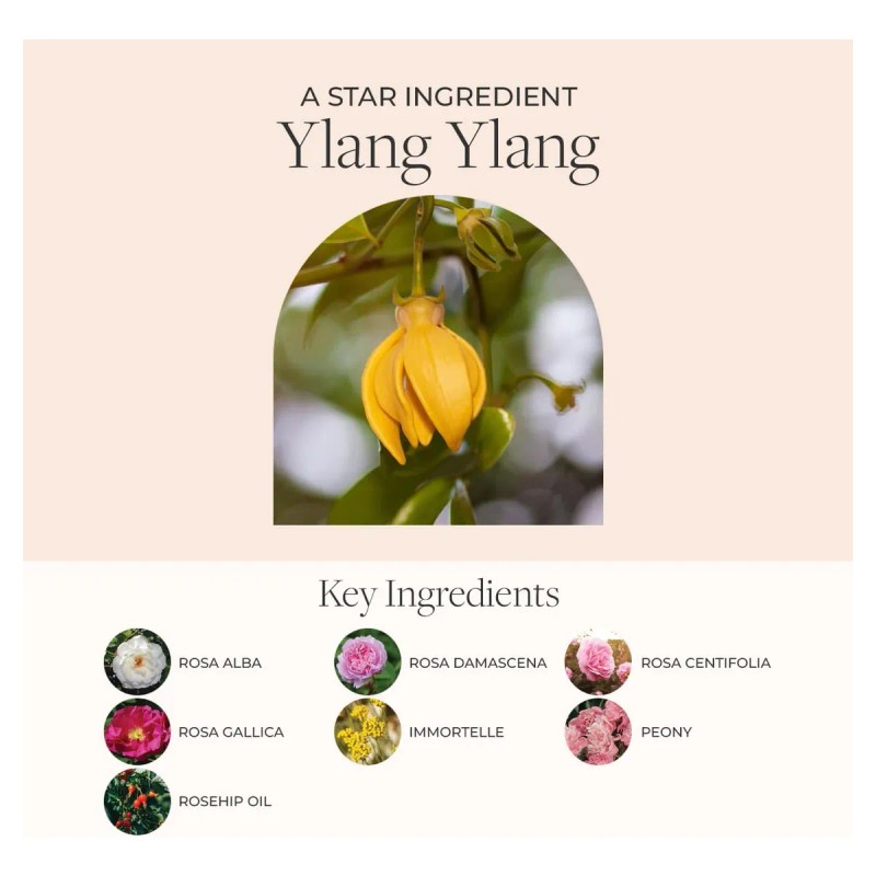 Elixir De Armonía Fleurissent - Mascarilla Facial Y