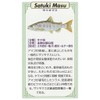 KAJIKAWA Vintage FISH PINS Pin Badge Freshwater Fish Satsuki Trout