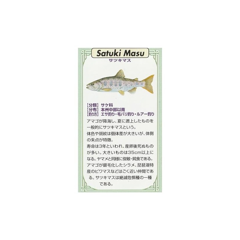 KAJIKAWA Vintage FISH PINS Pin Badge Freshwater Fish Satsuki Trout