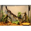 AQUA KT Reptile Corner Branch with Green Leaves Terrarium Desert