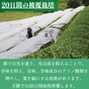 Kyoto Uji Gyokuro Organic Tea Cultivation, Made in Kyoto Prefecture,