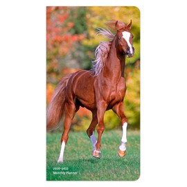 Horse Lovers | 2026-2027 3.5 x 6.5 Inch Two Year Monthly Pocket Planner Calendar | BrownTrout | Animals Equestrian