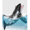 Simulated Ocean Big Animal, One pc 15Inch Soft Filled Rubber