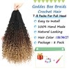 Goddess Box Braids Crochet Hair 8 Packs Pre-looped Boho Box
