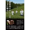 Kyoto Ujitawara Tea House Green Tea Leaf Japanese Tea Boiling