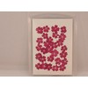 Fukusan Pressed Flower Pack, Verbena, Pink, Small FUK-1024