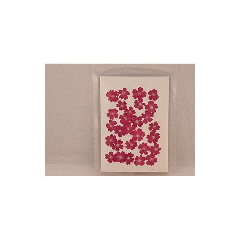 Fukusan Pressed Flower Pack, Verbena, Pink, Small FUK-1024