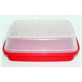 Tupperware Jr. Season Serve Red