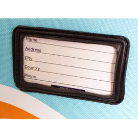 BRUBAKER Padded Ski Bag Skibag Carver Champion - Limited Edition - 190 cm / 74 3/4" Light Blue Orange