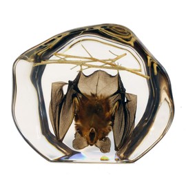 REALBUG Desk Decoration-Hanging Bat, Small Clear