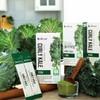 Delicious Home Delve Me Organic Freeze-Dried Green Curly Kale 100%