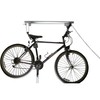 RAD Cycle Products Rail Mount Bike and Ladder Lift for