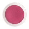 Bilberry Concentrate Powder 500g 3 Packs / 빌베리 농축 분말