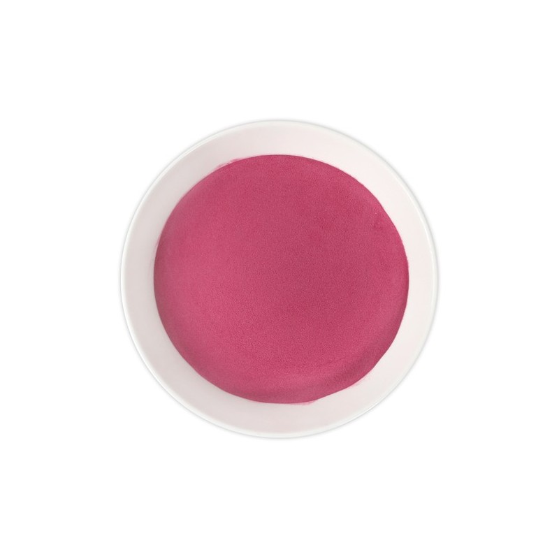 Bilberry Concentrate Powder 500g 3 Packs / 빌베리 농축 분말