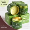 Coconut Vanilla - Aromatherapy Candles for Home Scented - Pack