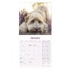 Tibetan Terrier Calendar 2025 | 12 months | with FREE