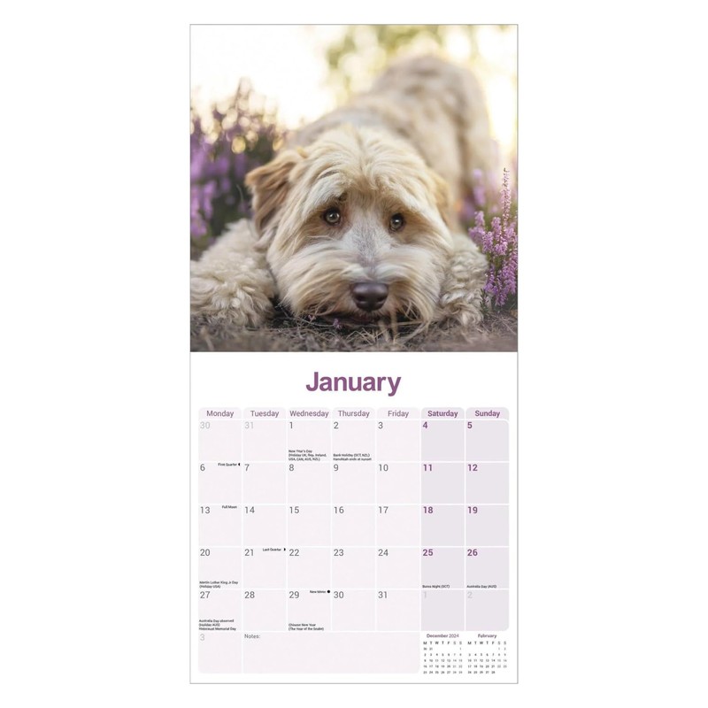 Tibetan Terrier Calendar 2025 | 12 months | with FREE