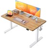 BANTI 55'' Standing Desk, Electric Stand up Height Adjustable Home