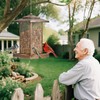 LBTING Bird Feeder for Outside, Metal Lantern-Shaped Bird Feeder, Squirrel