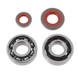 LT Easiyl 1 Set Crankshaft Metal Bearing Oil Seals for Lawnmower Chainsaws 9523 003 4260 9503 003 0320 9640 003 1600 Compatible with Stihl 024
