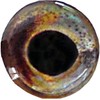 Brule 3-D Hard Epoxy Eyes (Chub-S, 3mm)