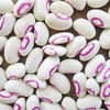 Texas Creme Eyed Peas Heirloom Seeds - Non GMO -