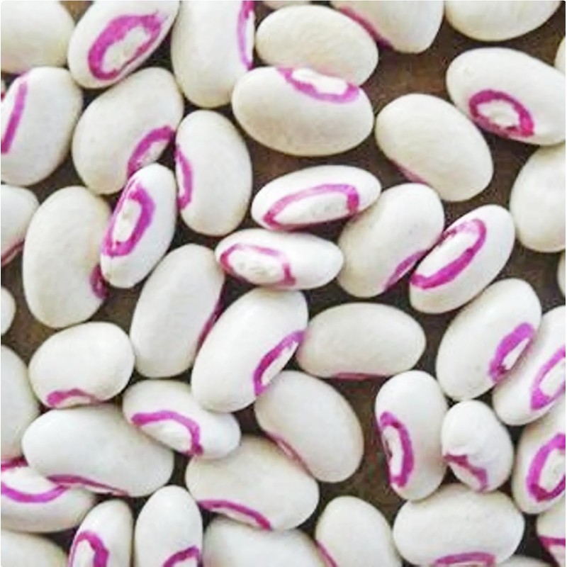 Texas Creme Eyed Peas Heirloom Seeds - Non GMO -