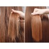 Hair Chemist 99% Natural Hair Oil - Brazil Nut 7.1