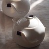 Yilong Teapot 6.1 fl oz (180 ml) for Chinese Tea