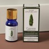 Sage Apothecary Cypress Essential Oil - 10 ML