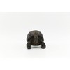DecoTrend GmbH Decorative Figurine Small Turtle 24.5 x 17.5 x
