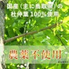 Moru Chu Tea, 0.1 oz (3 g) x 30 Packets,