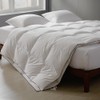 sleeprove Lightweight King Down Comforter for Hot Sleepers & Summer