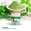 Avelit Superfoods | Moringa en Polvo 200g | 100% Natural