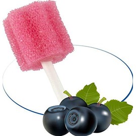 Oral Care Sticks Currant Pack of 250