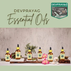 Devprayag Pure Hyssop Essential Oil (Hyssopus officinalis) Natural Therapeutic Grade Steam Distilled 15ml (0.50 oz)