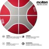 Molten GR Basketball, Indoor/Outdoor, Premium Rubber, Size 5, Impact Colour