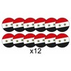 AK Giftshop Syrian Syria Flag Bunting Party Decorations Flags -