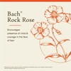 Bach Flower Essences Rock Rose Rosa de roca 20 ml