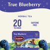 Celestial Seasonings True Blueberry Herbal Tea Bags, Caffeine Free, 20