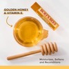 Burt's Bees 100% Natural Moisturizing Lip Balm, Honey with Beeswax