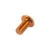 Choose Mountain Bike Orange Rotor Bolts
