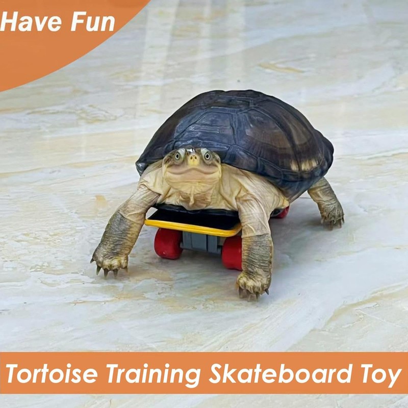 ZKFSIE Tortoise Toys, Tortoise Enrichment Toys with Skateboard and Treat